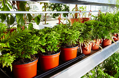 Garden Center
