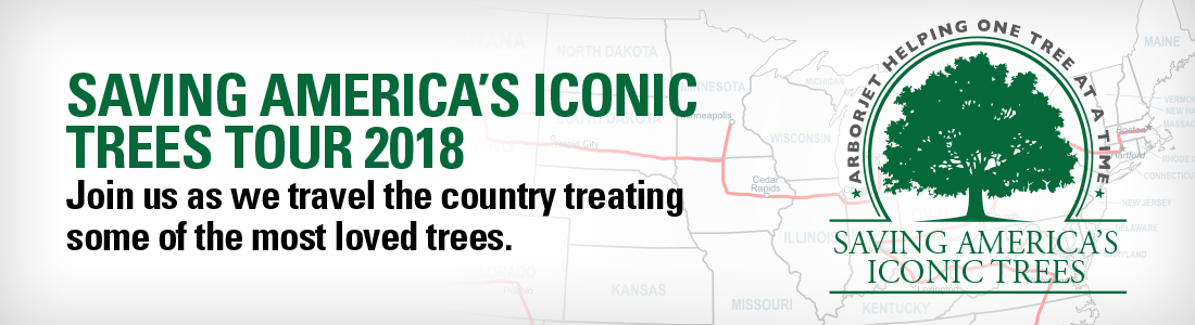 Iconic Trees Banner